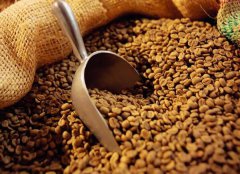 哥倫比亞咖啡豆進(jìn)口報(bào)關(guān)清關(guān)代理服務(wù)【經(jīng)典案例】